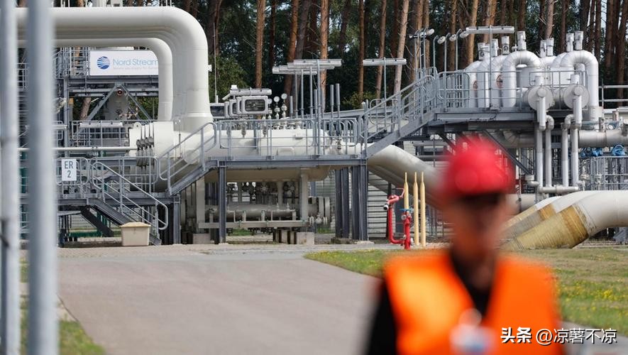 想输都难了怎么办,想输都难的原因