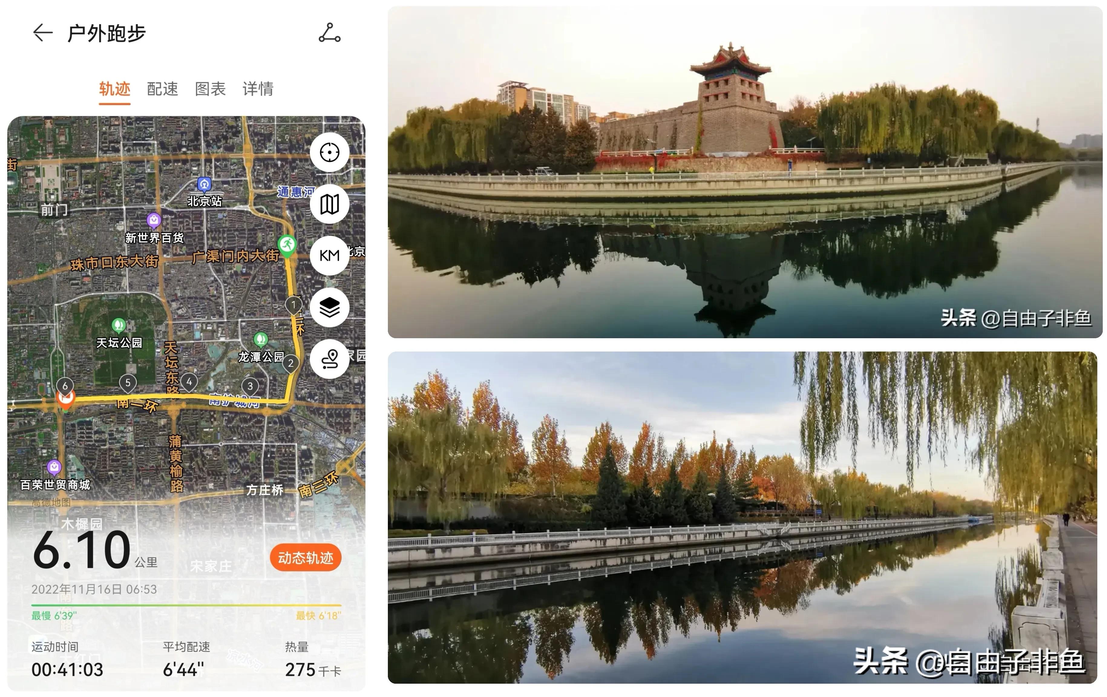 北京植物园跑步路线,北京适合跑步的地方