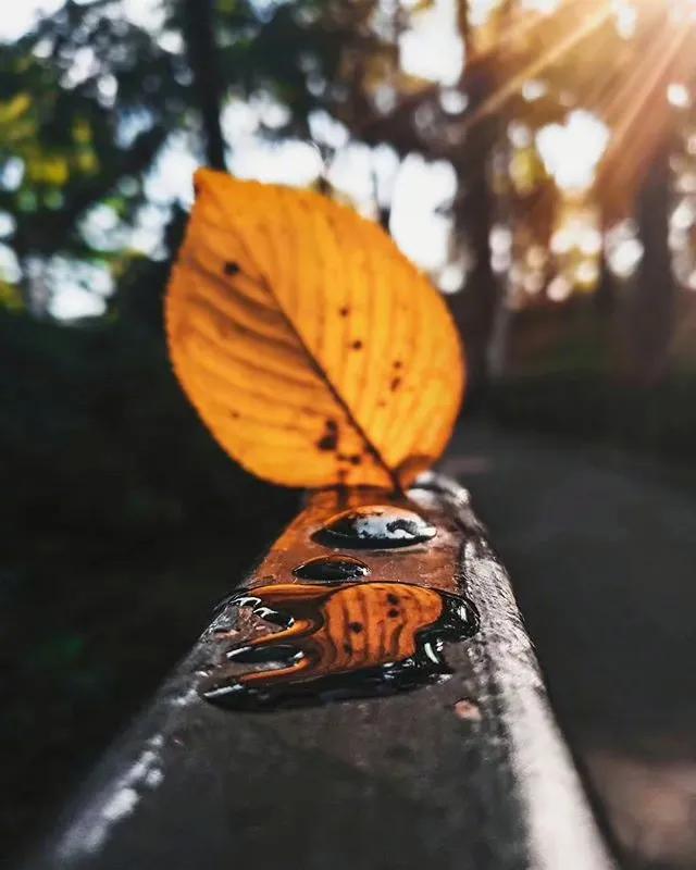 侧耳倾听冬天图片,侧耳倾听风的吟唱