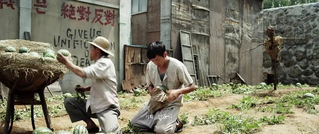 许三观卖血记深度解说,许三观卖血记深度解析三分钟