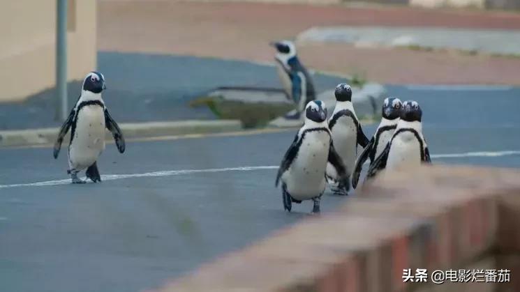 女性成长必看的高分纪录片,5部女孩子必看神级纪录片