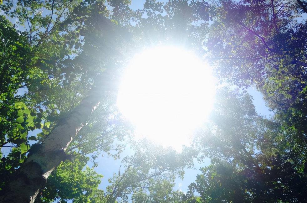 衣服晒久了会怎么样,黑色衣服被84褪色了怎么恢复原色