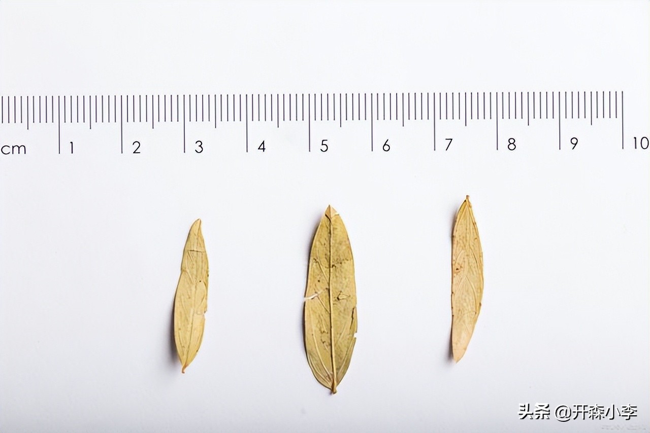 深圳进口番泻叶报关清关需要的资料以及单证