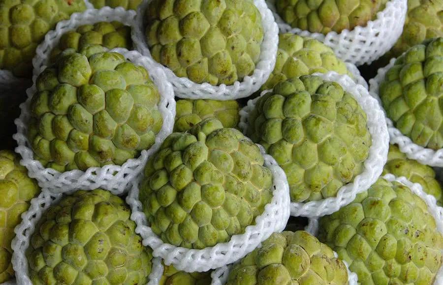 100多种罕见水果欣赏,100种罕见水果名字