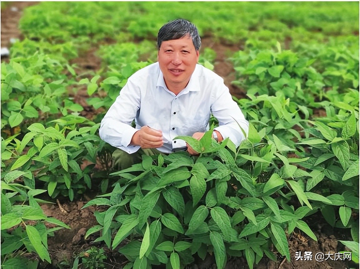 咱大庆这些“中国种子”超级牛