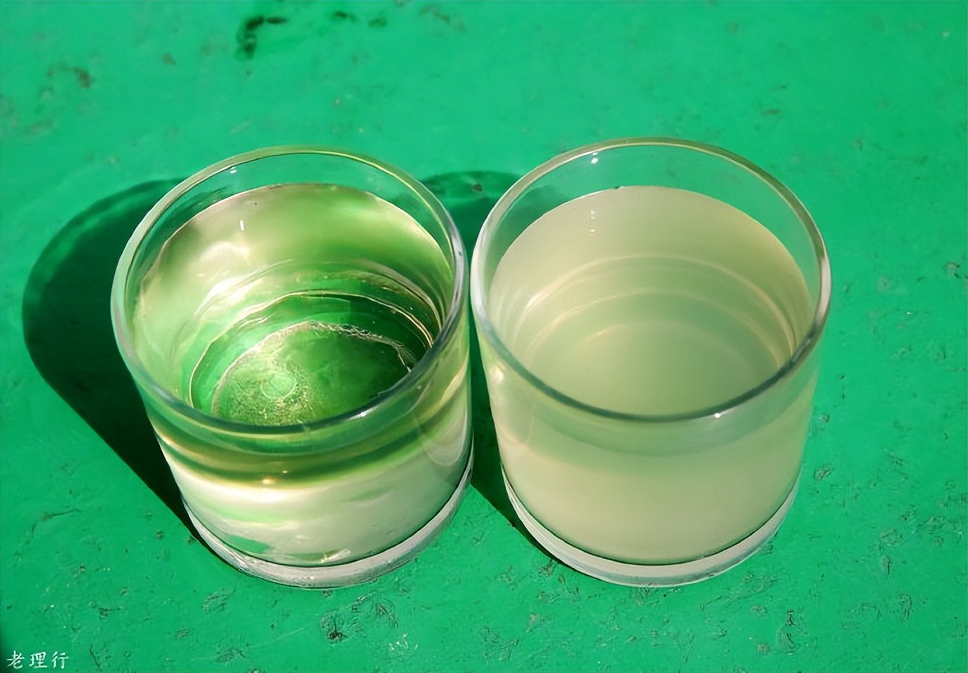 南美四国之旅,巴西亚马逊之行