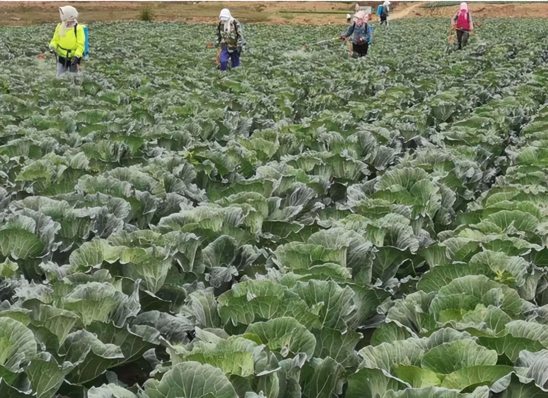 鐧芥按璋ｆ按婧惰偉鏈嶅姟骞垮ぇ鏋滃啘,鐧芥按璋ｆ瓕