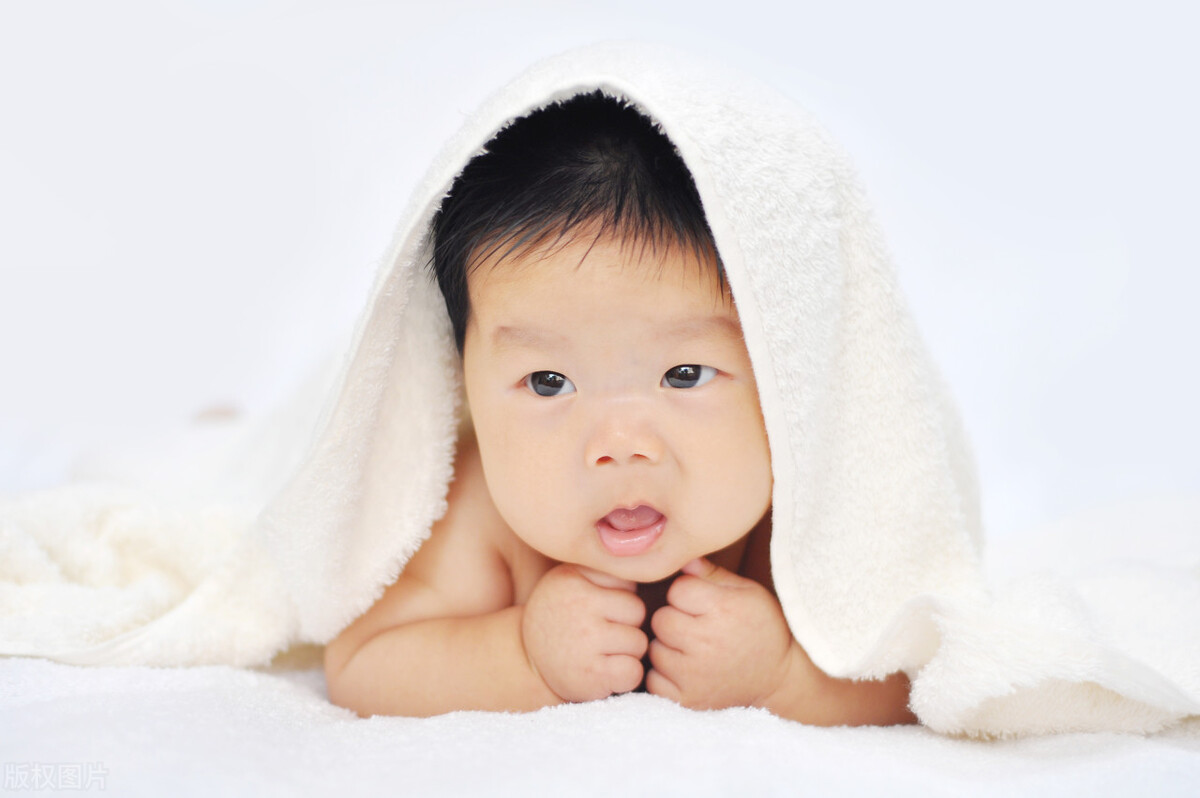 坚固恒牙：父亲寻找失踪的假牙之旅