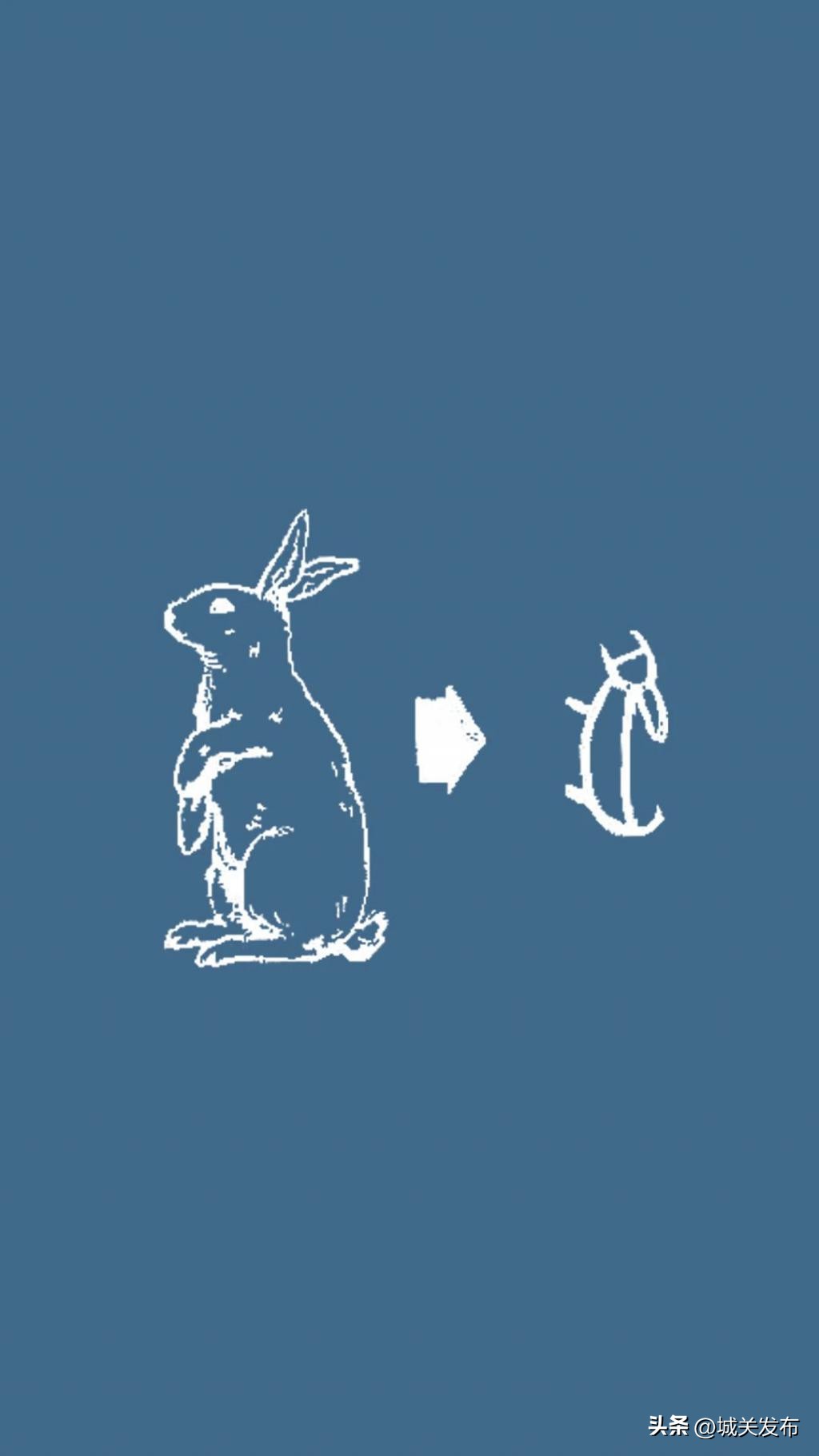 原来，你是这样的兔兔！