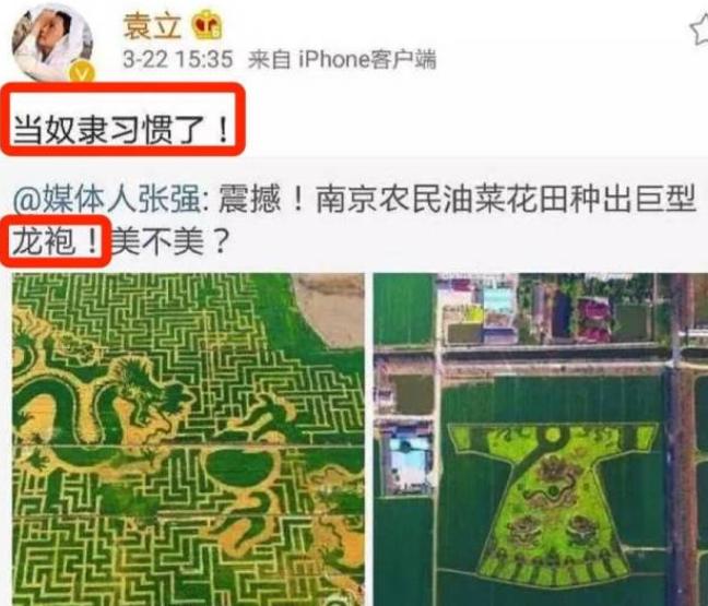 袁立红毯事件完整视频,袁立红毯事件完整版