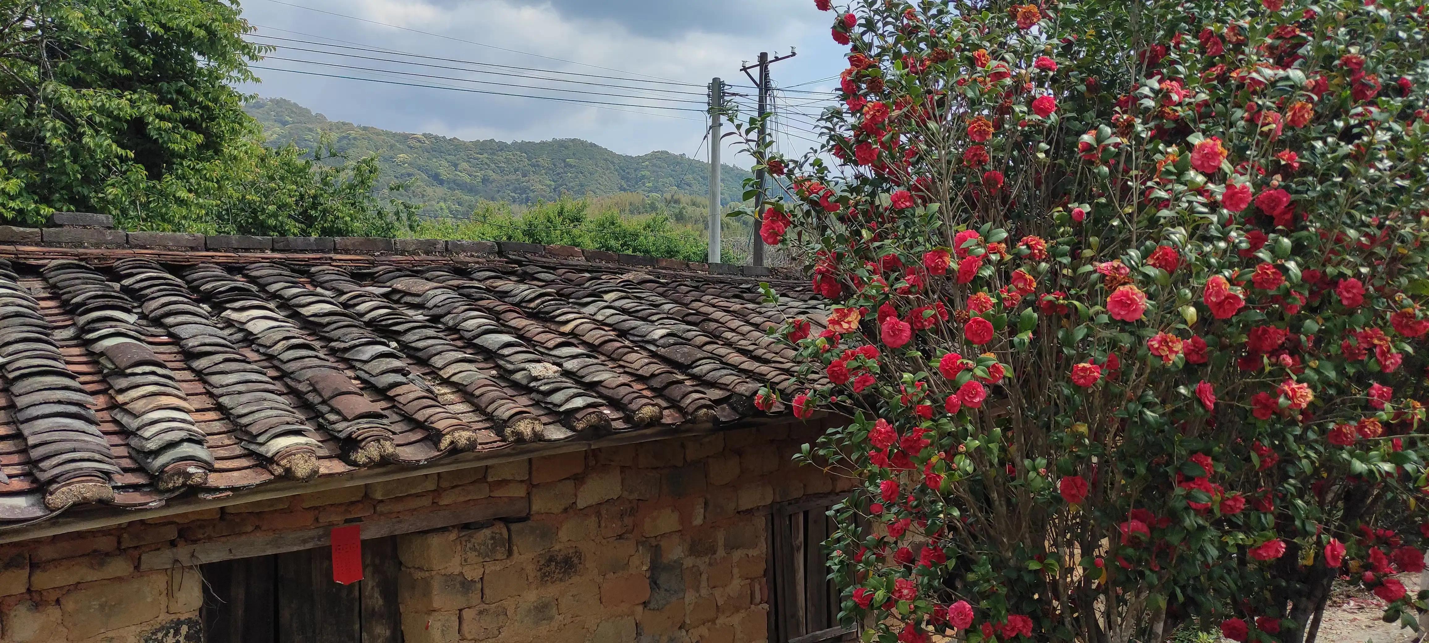 广州从化后花园,从化是广州的后花园吗