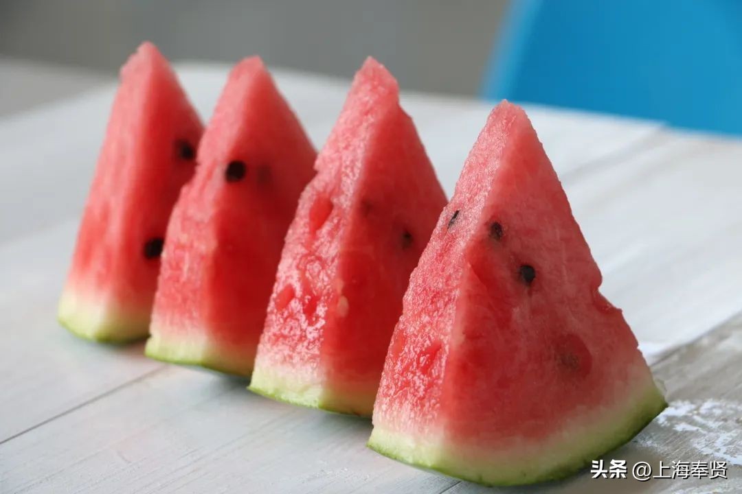 休憩一夏，趣味海湾