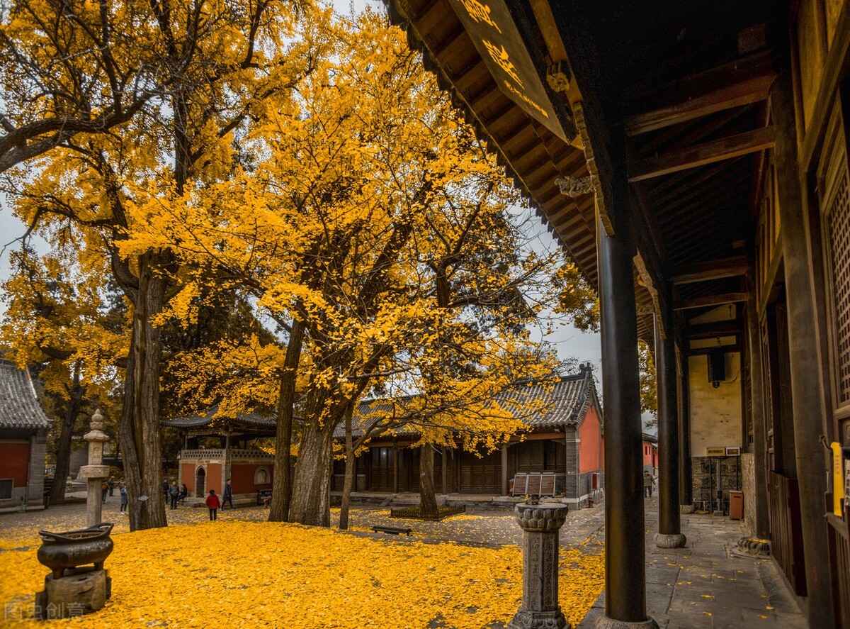 没想到济南的秋天竟然可以这样美,秋天济南哪个景区最美