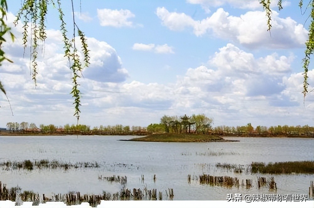 美在黑龙江：走进诗意山水之齐齐哈尔这里是世界大湿地中国鹤家乡