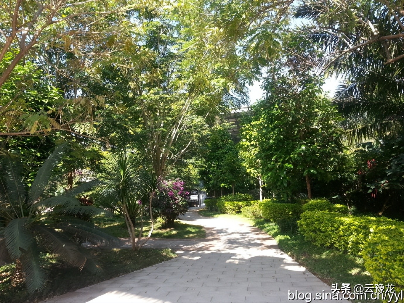 西双版纳磨憨自驾游攻略,自驾游云南版纳旅游攻略
