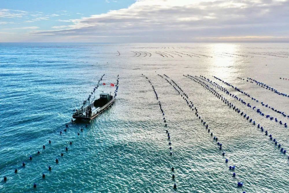 海美、小吃巨好吃！这个神还原游戏世界的小城，不该这样被埋没！