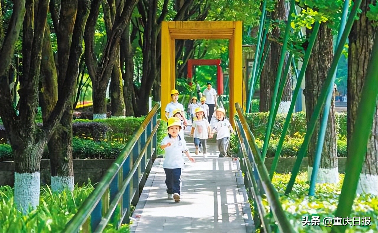 大美重庆就在家门口,大美重庆就在家门口摄影比赛