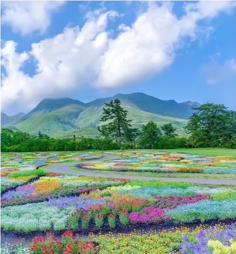 在休闲度假区有什么项目可操作,快来看看哪些项目更受欢迎