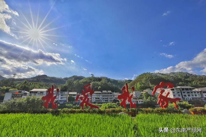 厚植水利高质量发展舆论阵地,开创水利高质量发展新局面