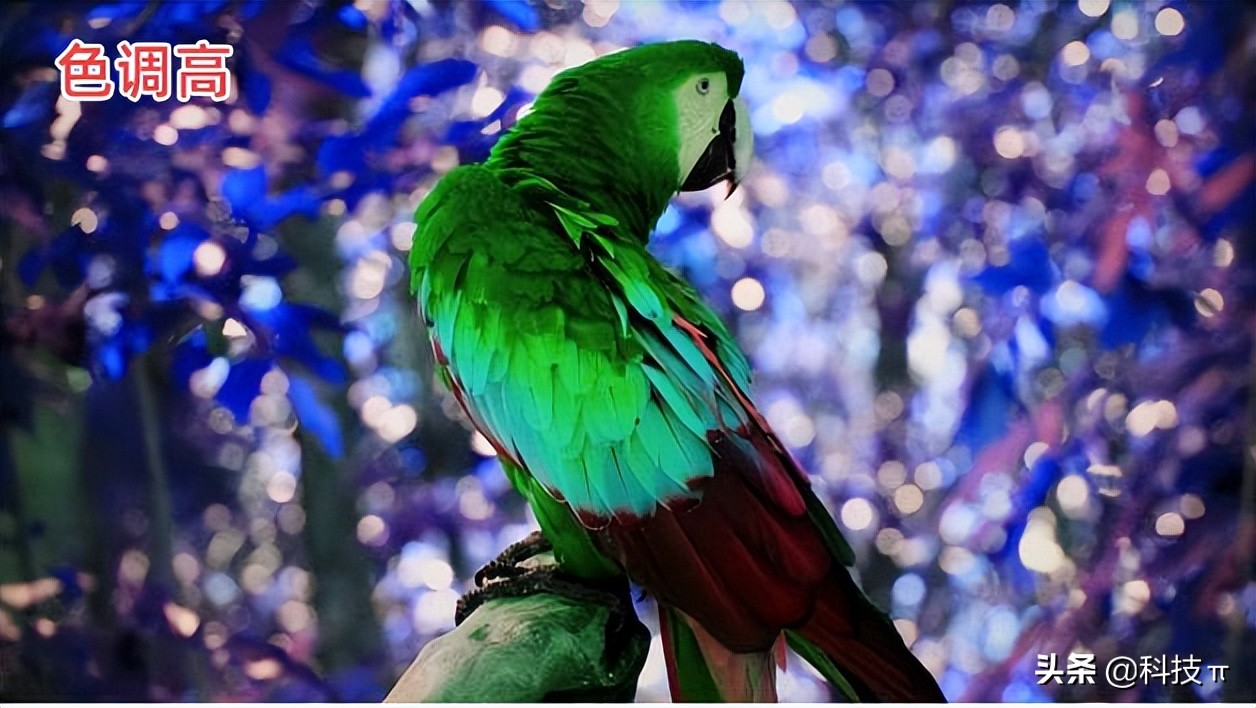 电视怎样调最佳图像,电视怎么调整显示比例