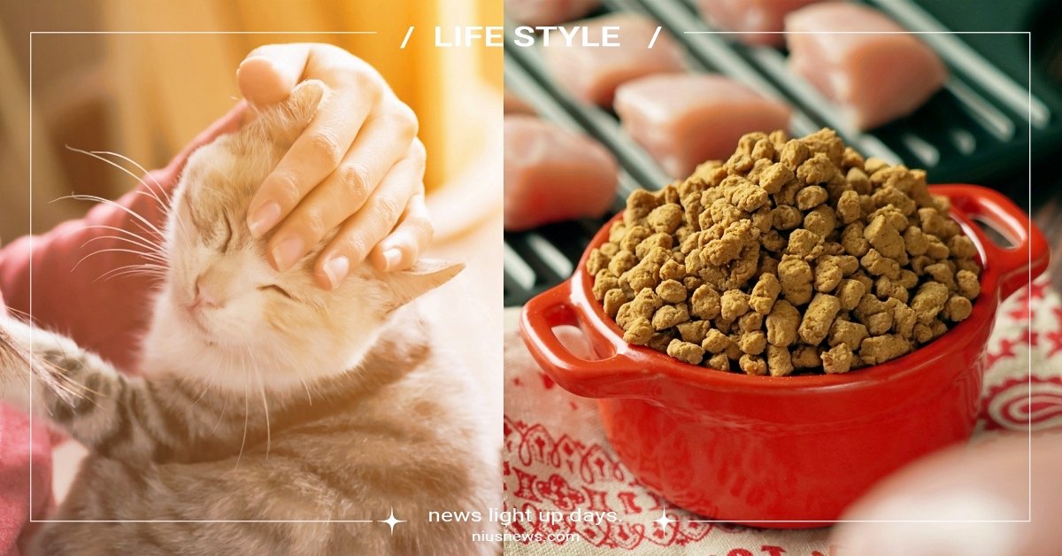 2023高品质猫粮十大排行榜,2022猫粮推荐性价比测评