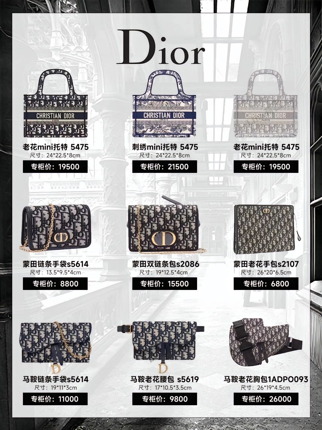 迪奥包包4格热卖色,迪奥2023包包新款三万多