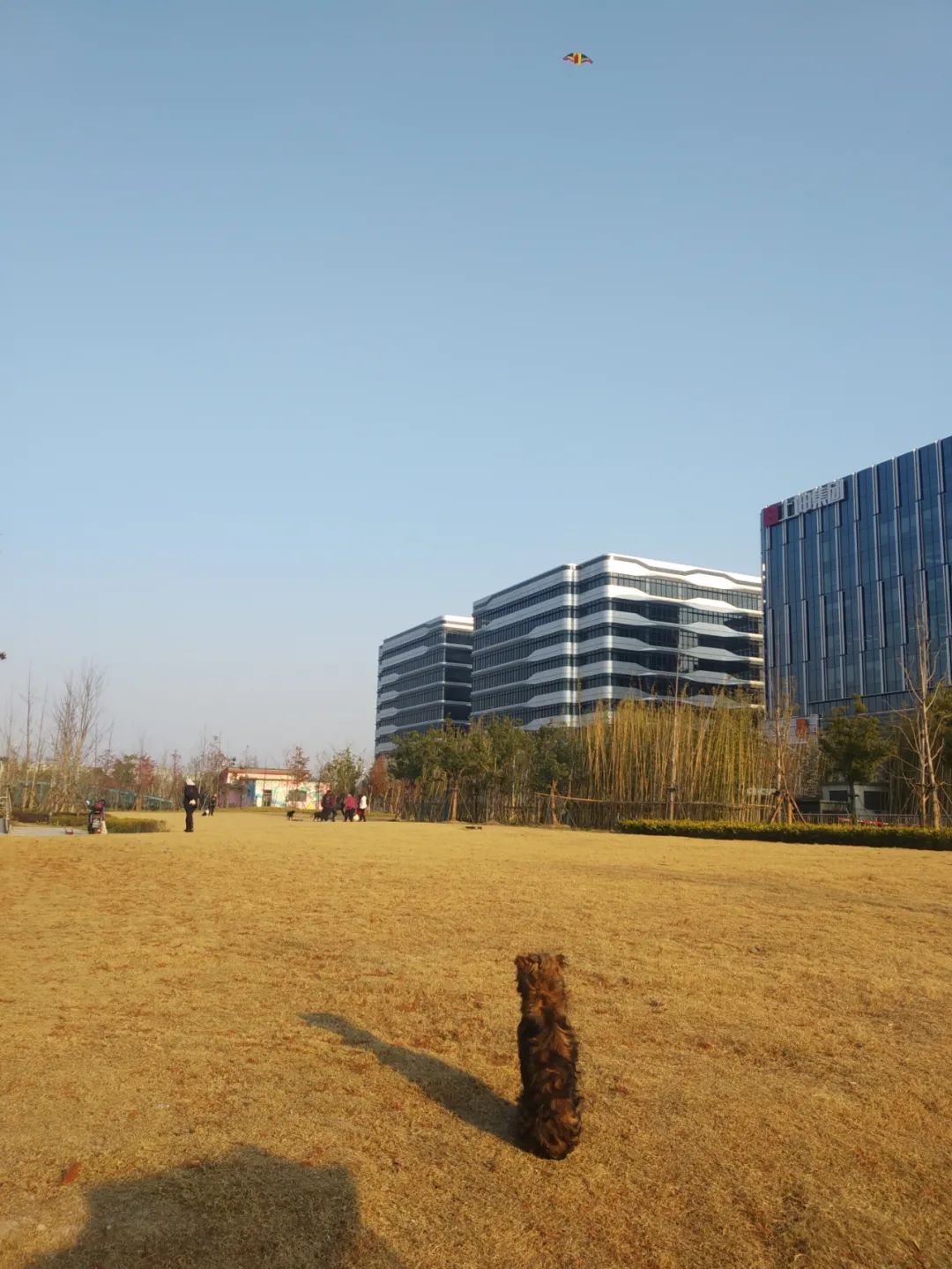 我最大的爱好就是上班,我最喜欢工作中的自己