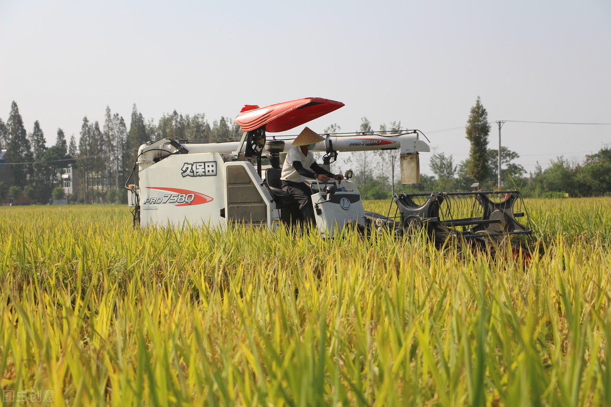 农业农村局有前途吗,农业农村局改革后怎么样