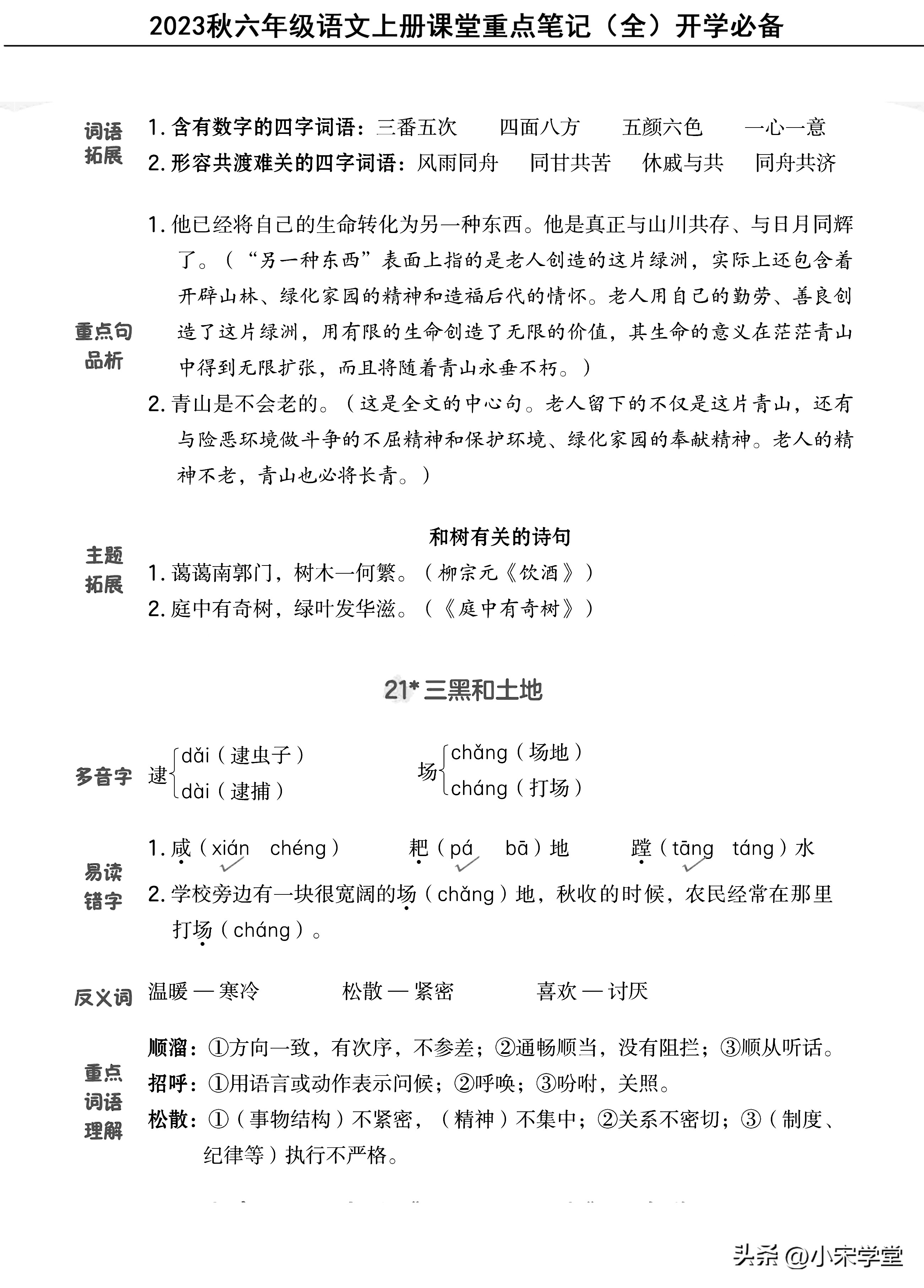 六年级上册语文人教版总复习考点,六年级上册语文重点知识总结2021