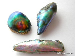 烧烤鲍鱼成品,鲍鱼里面也有珍珠