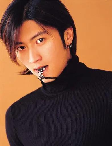 谢霆锋为什么如此喜欢王菲,谢霆锋为何喜欢王菲这么多年