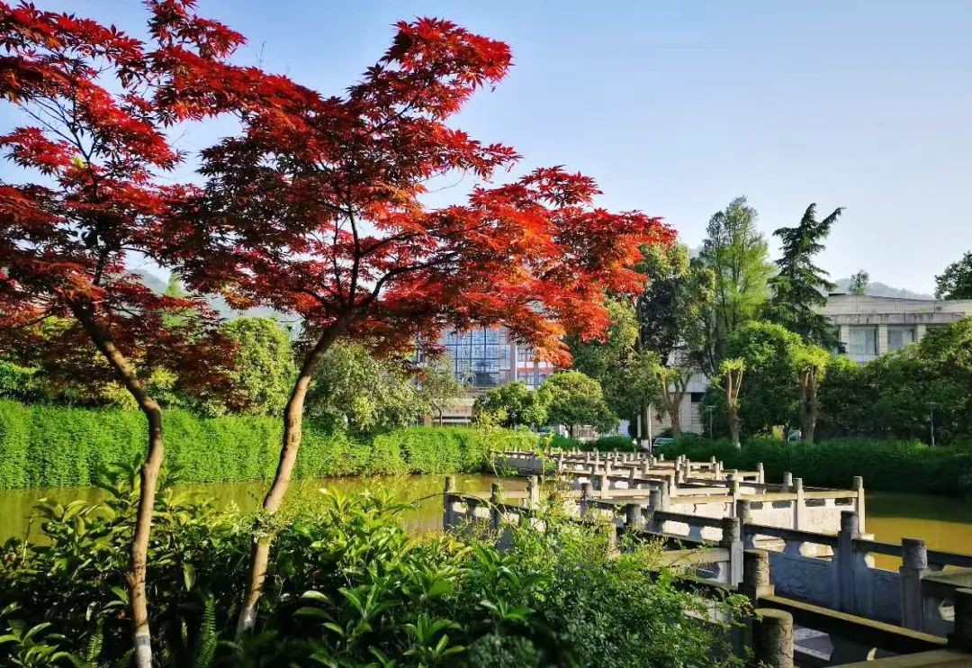 2022四川志愿填报学校数目,四川本科志愿填报多少个学校