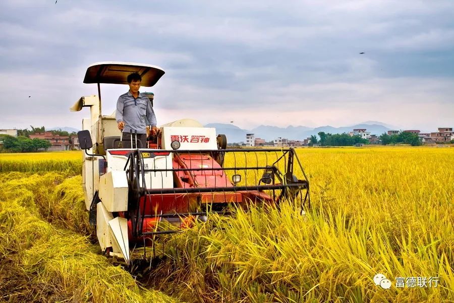 乡村振兴优化乡村发展布局,优化人居环境乡村振兴
