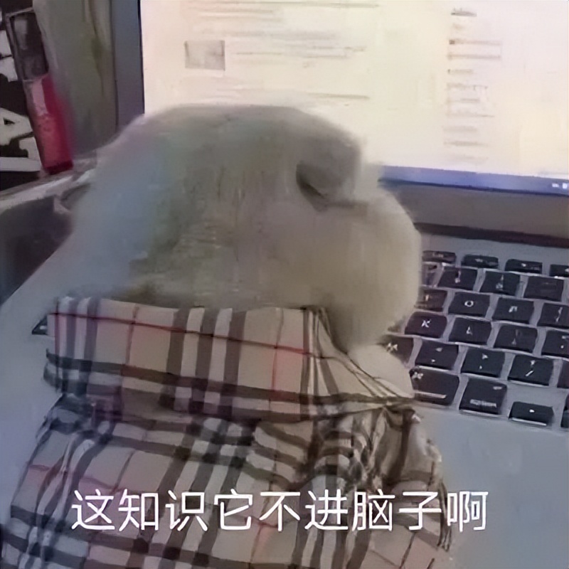 高中生表情包：学习使我妈快乐