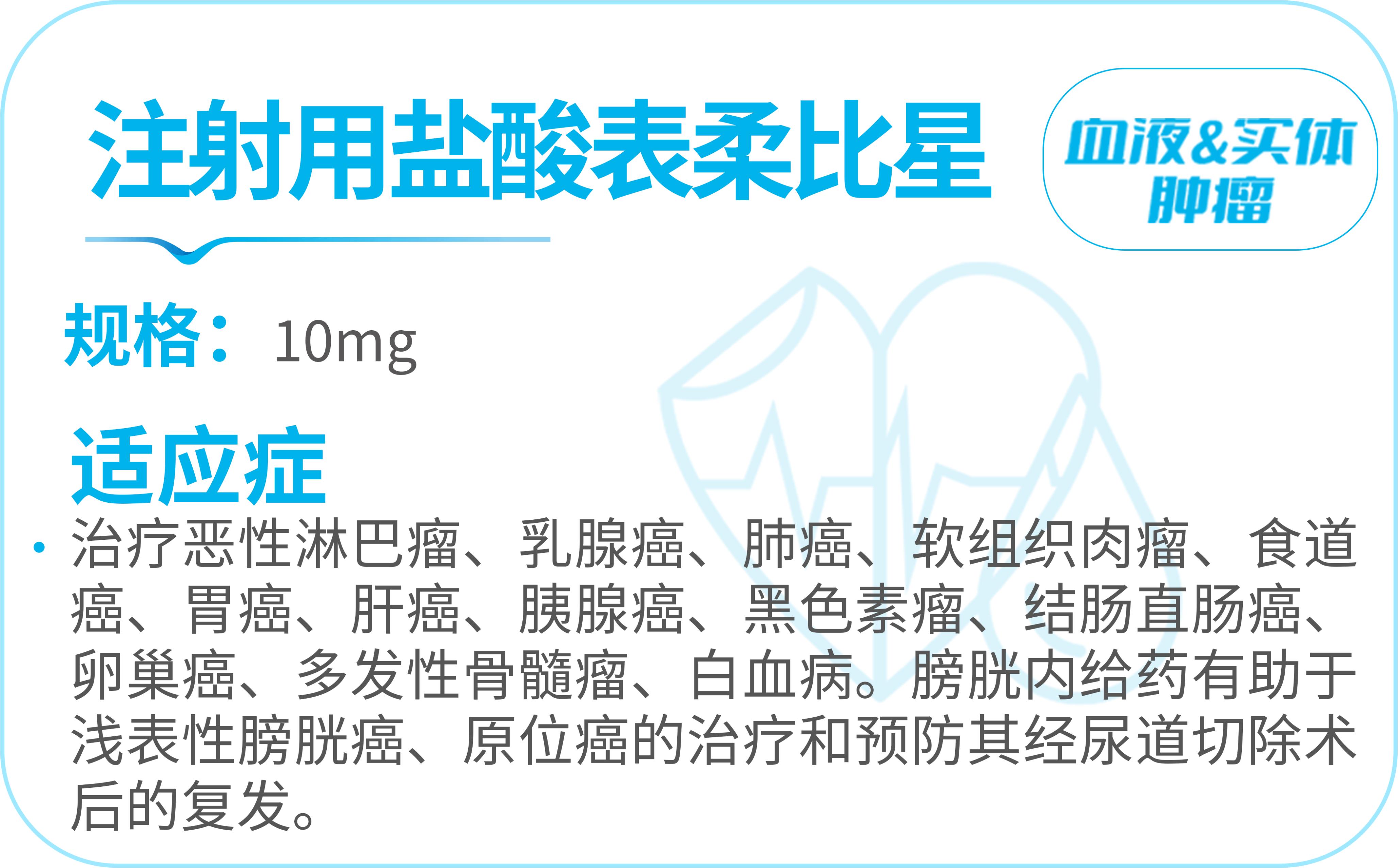 最新产品上市消息,重磅产品密集上市