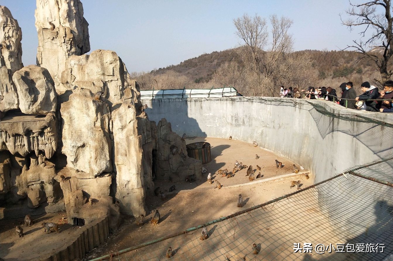 八达岭北京野生动物园推荐,两个人花100块钱能在北京玩多少