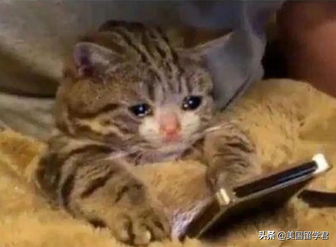 “假装”好好生活的留学生：无数次我想不顾一切地回家