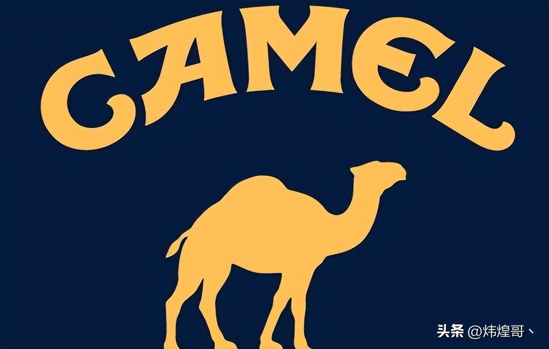 台湾户外运动品牌十大排名,世界十大户外运动品牌排行榜