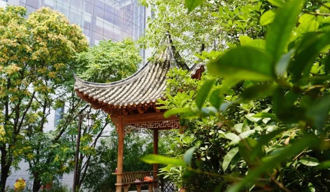 郑州元宵节去哪玩比较好看,河南元宵节游玩攻略