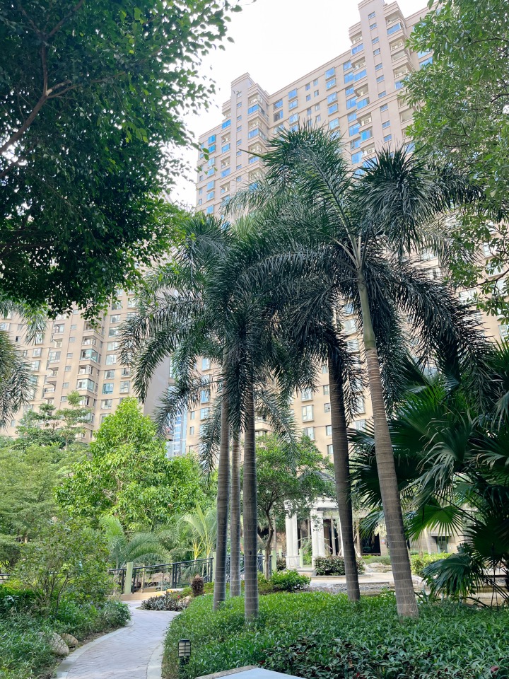 与城市共成长地产宣传片,与特区共奔美好未来