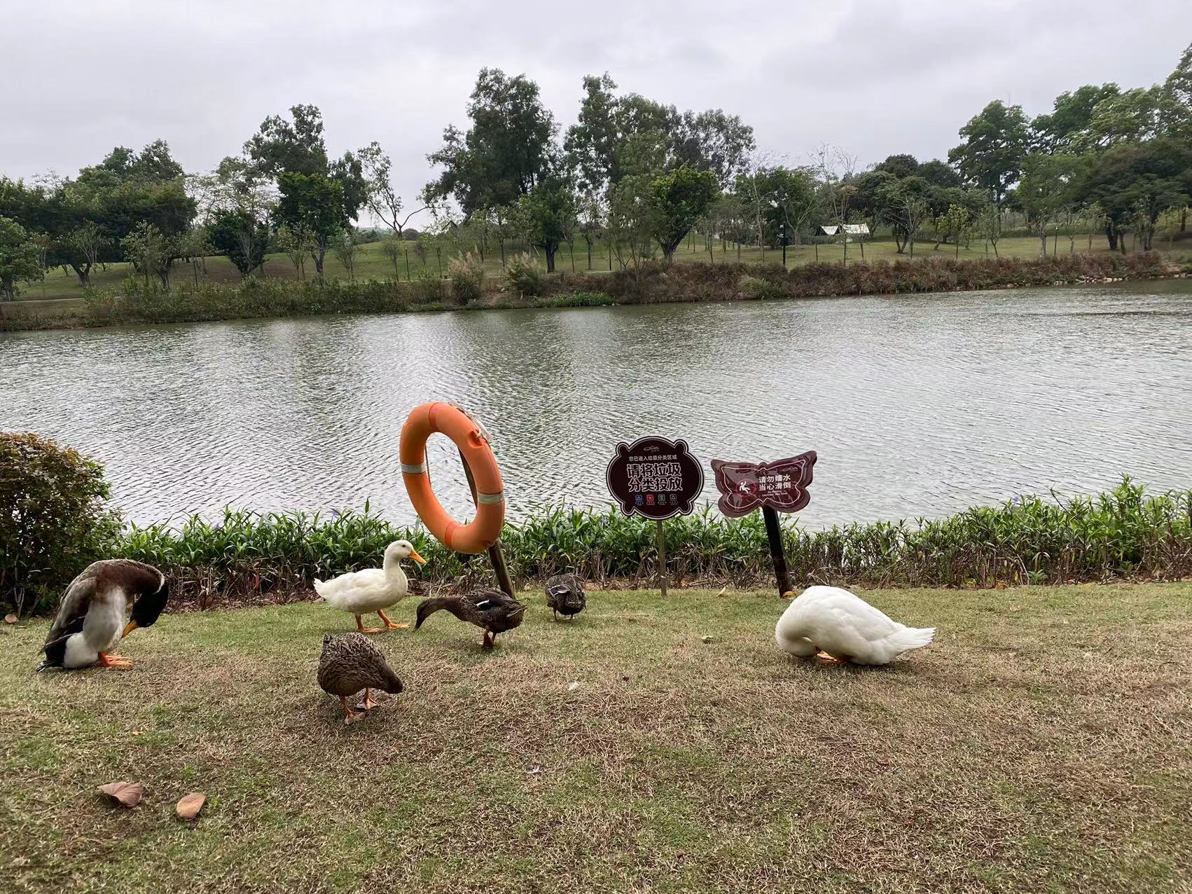 珠海人气最旺的公园,珠海市人爱去的公园推荐