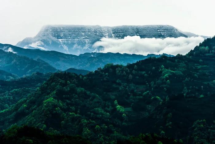 洪雅一个生你养你的地方,洪雅一个养你的地方