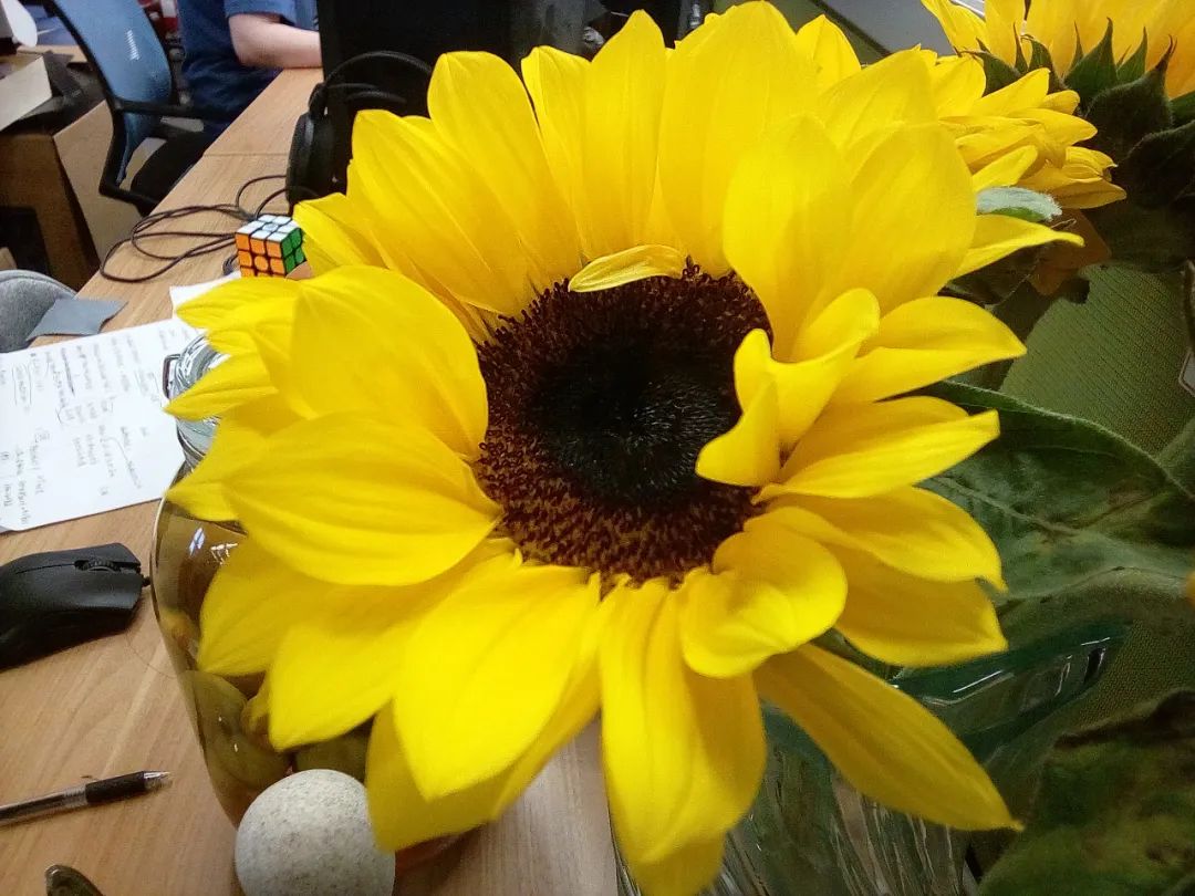 不到2000元买四部手机,不到2000块的旗舰机