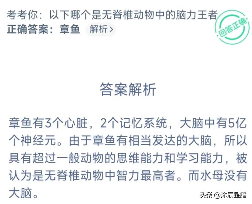 支付宝蚂蚁森林今天答题答案,支付宝解除限制安全答题答案