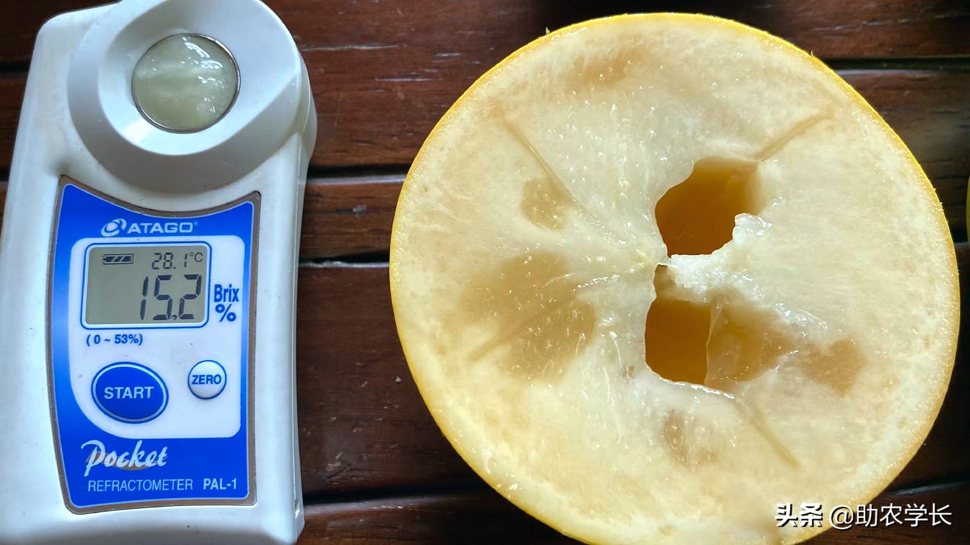 果冻果是什么,果冻果是什么东西