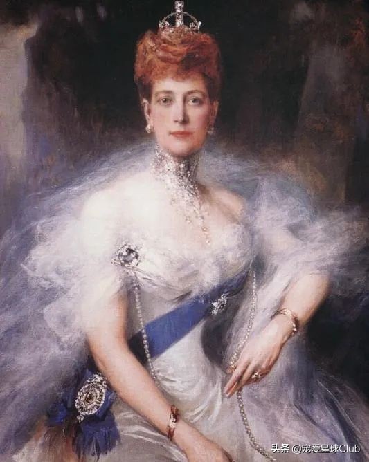 微笑天使萨摩耶犬图,萨摩耶犬是狗狗界的微笑天使