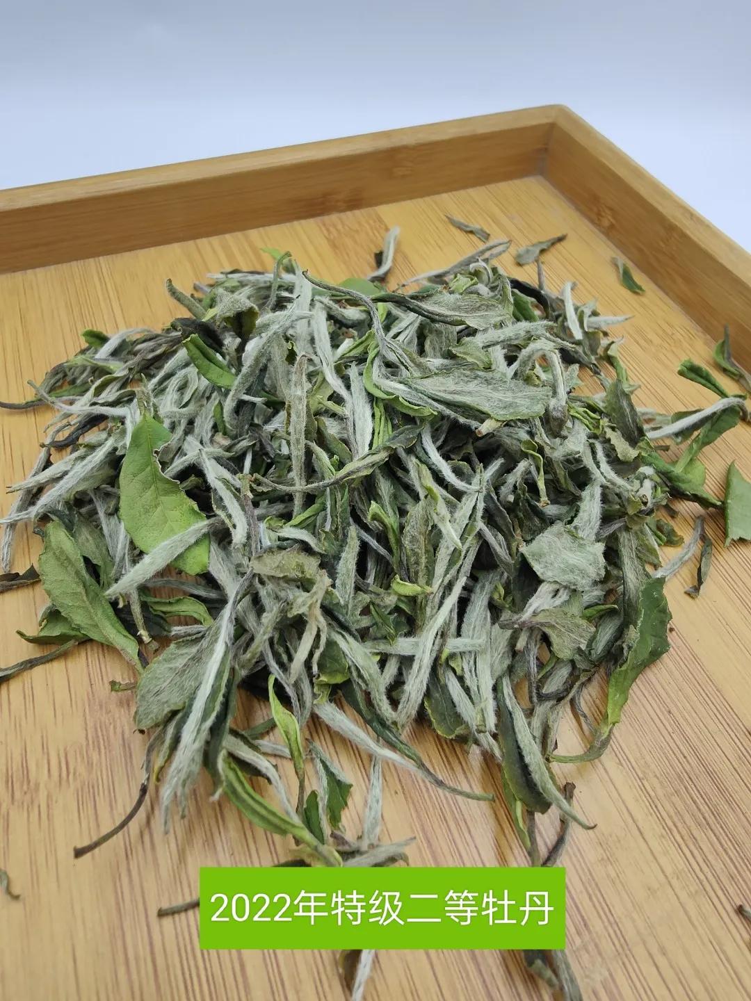 觅茶之趣岁月纯粹