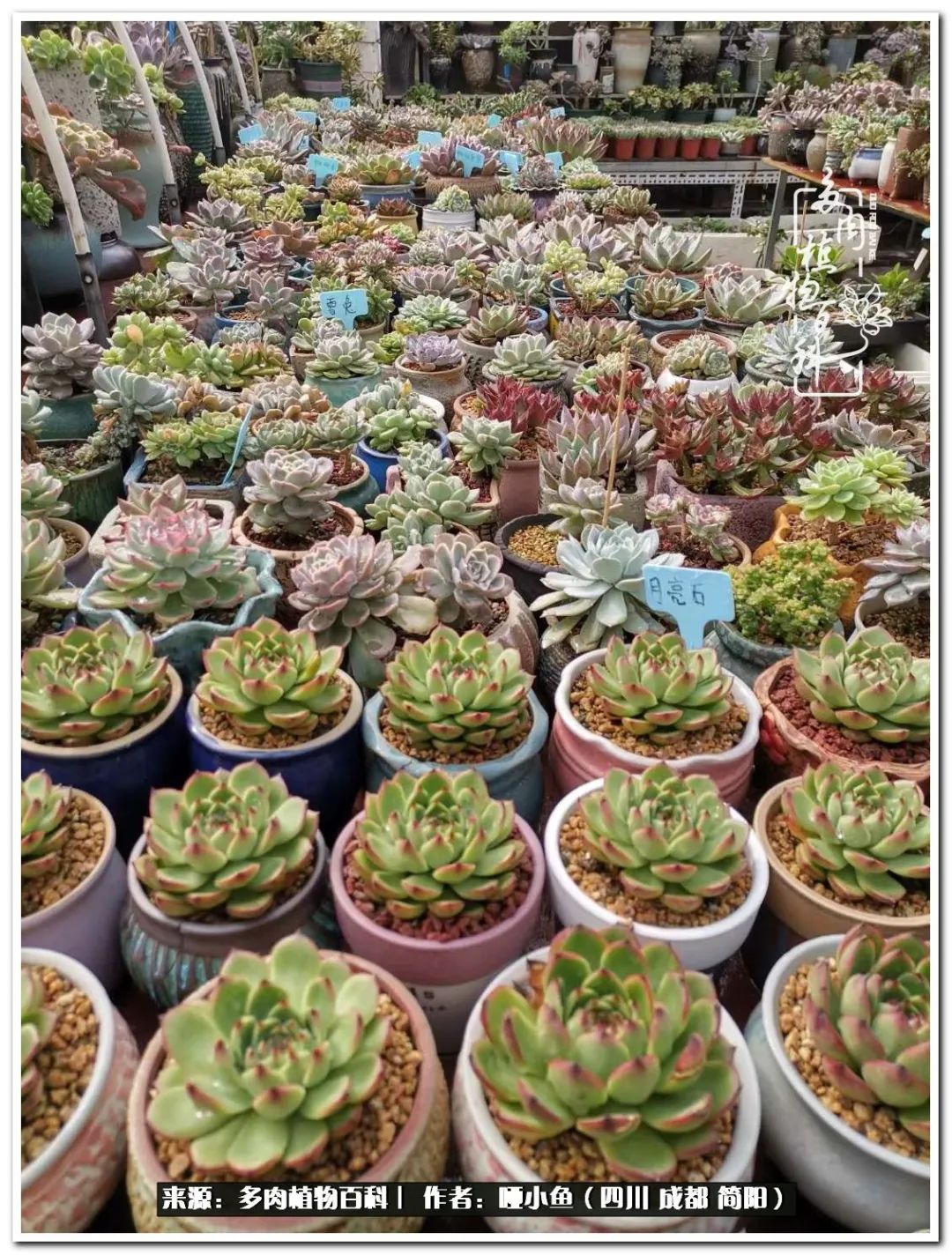 看世间繁华品一生,看世间繁华品人生美味