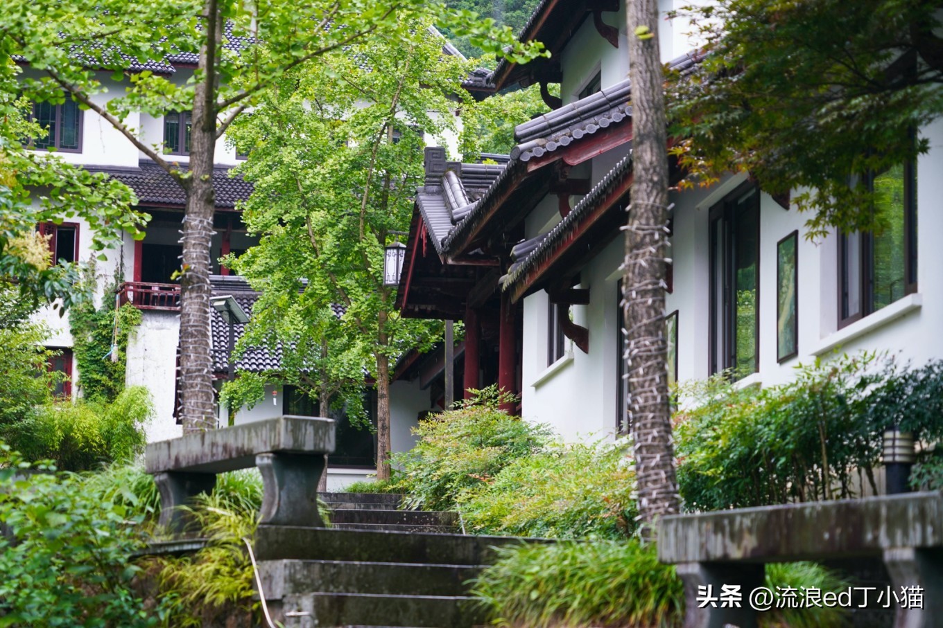 夏日避暑胜地杭州周边推荐,杭州五天避暑胜地全攻略