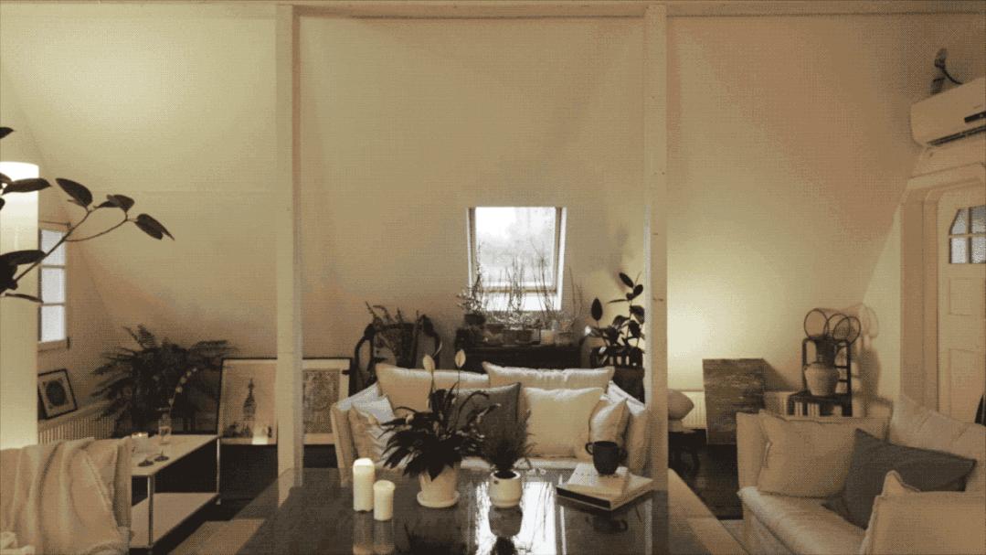 合租天花板上海,合租一个月5万的别墅